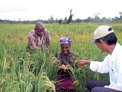 Vietnam pledges support for Africa’s food security - ảnh 1